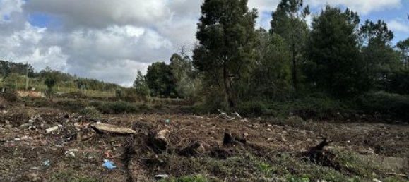 Terrain à Paredes, Portugal 7480m² No. 151805 4