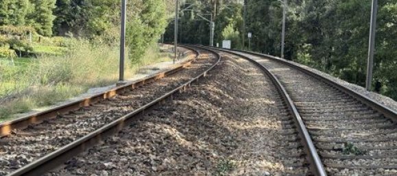 Terrain à Paredes, Portugal 7480m² No. 151805 8