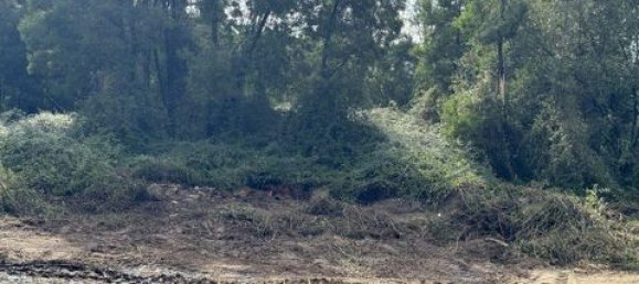 Terrain à Paredes, Portugal 7480m² No. 151805 2