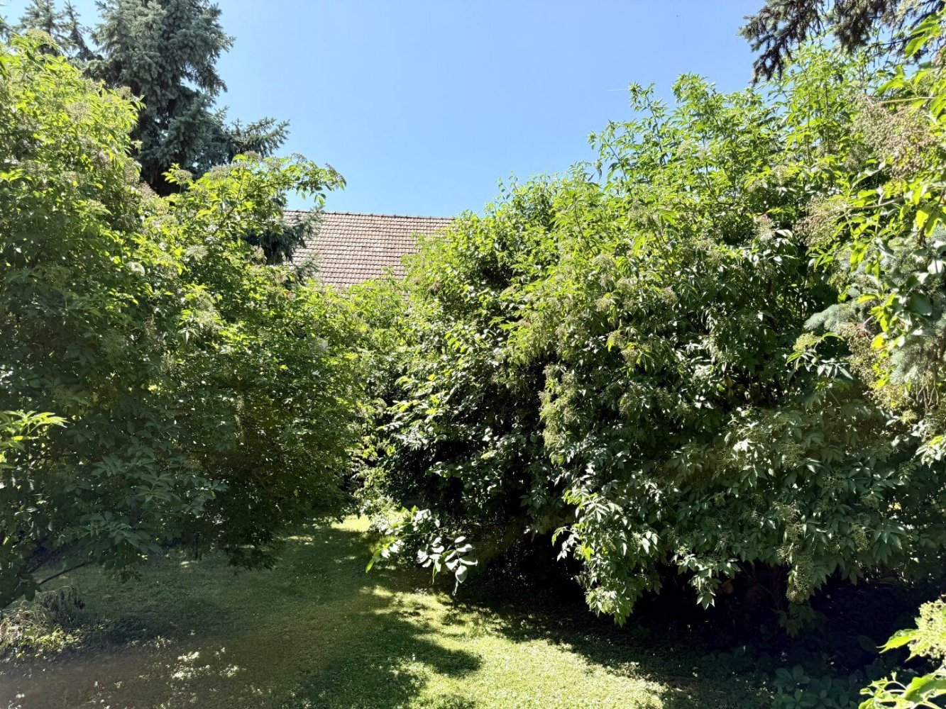  Land in Favoriten, Austria No. 129931