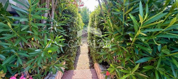 Villa de 6 dormitorios en Carini, Italy No. 268426 30