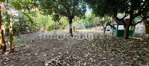 Villa de 6 dormitorios en Carini, Italy No. 268426 31