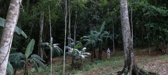 3 bedrooms House in Limon, Costa Rica No. 1085 5