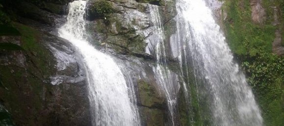 3 bedrooms House in Limon, Costa Rica No. 1085 6