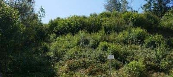 Terrain à Regensburg, Germany 966m² No. 366902 2