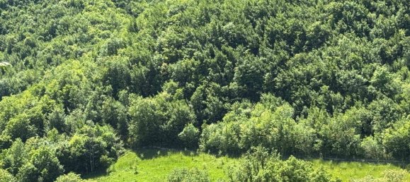 47220m² Land in Amandola, Italy No. 297438 2