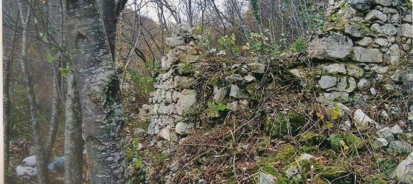 47220m² Land in Amandola, Italy No. 297438 8