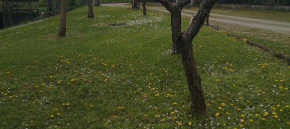 8 bedrooms Apartment in Casina, Italy No. 172634 6