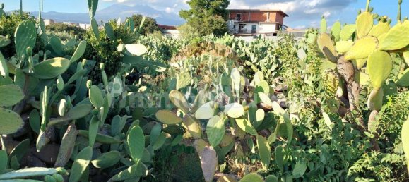 Terreno en Paternò, Italy 25699 m² No. 375225 8