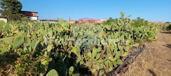 Terreno en Paternò, Italy 25699 m² No. 375225 12