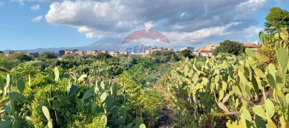 Terreno en Paternò, Italy 25699 m² No. 375225 19