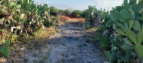 Terreno en Paternò, Italy 25699 m² No. 375225 9