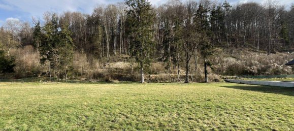  Land in Pucking, Austria No. 153986 4