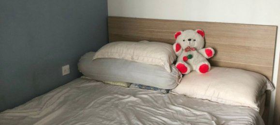 2 bedrooms Apartment in Thu Duc, Vietnam No. 16669 5