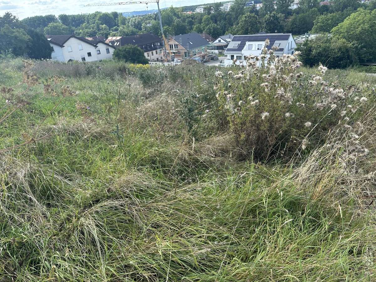  Land in Heilbronn, Germany No. 39375