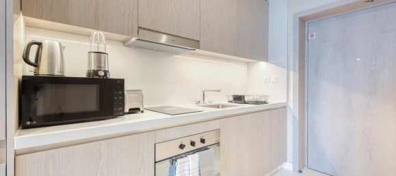 Studio in Palm Jumeirah, UAE No. 101439 11