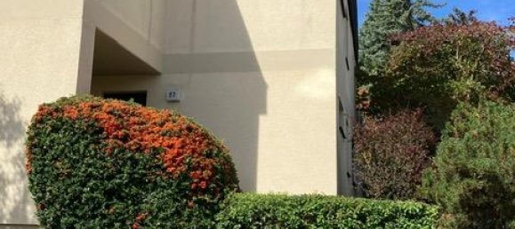 Здание с 4 спальнями в Вюрцбург, Германия № 353153 3