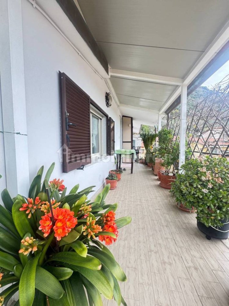 3 bedrooms Apartment in Massa, Italy No. 137468