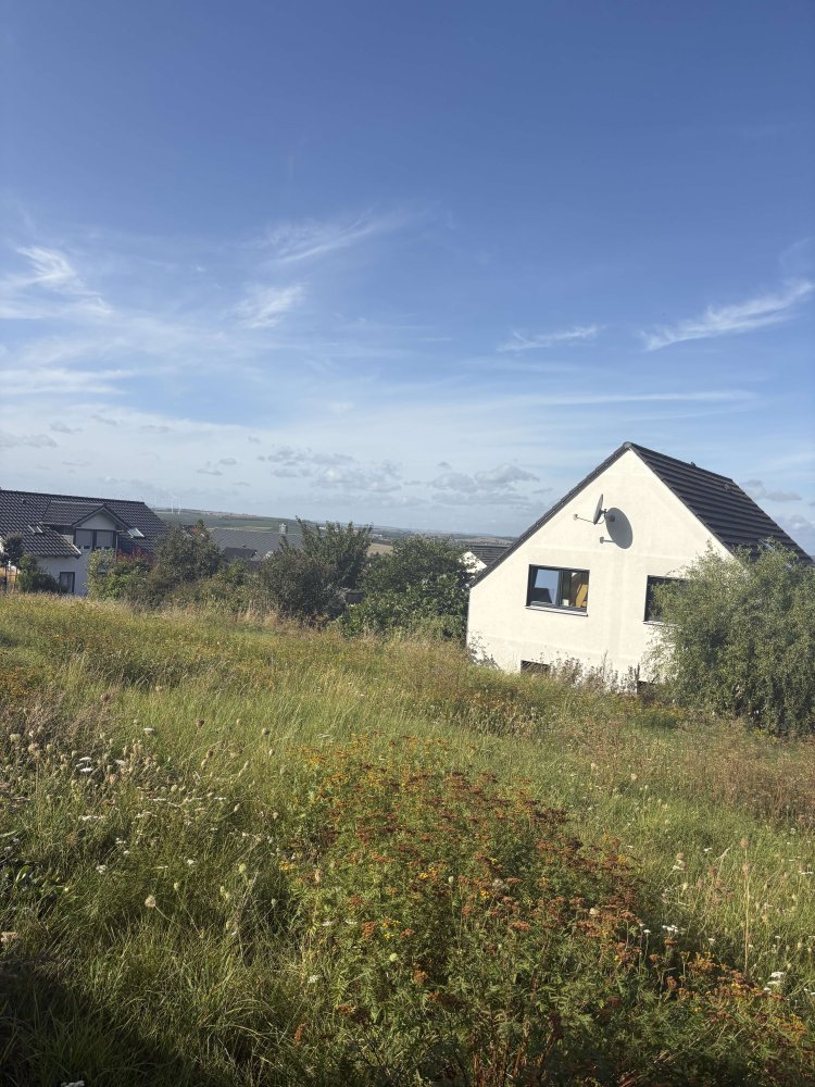  قطعة أرض في Mainz-Bingen, Germany رقم 322423