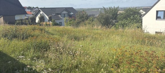  قطعة أرض في Mainz-Bingen, Germany رقم 322423 4