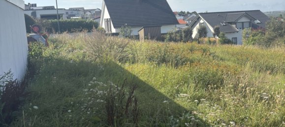  قطعة أرض في Mainz-Bingen, Germany رقم 322423 5