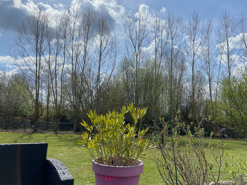 Дом с 6 спальнями в Сент-Омер, Франция № 61690