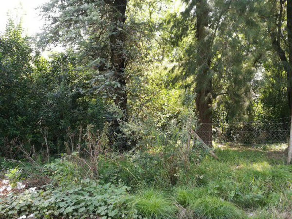  Land in Pilar, Argentina No. 42863