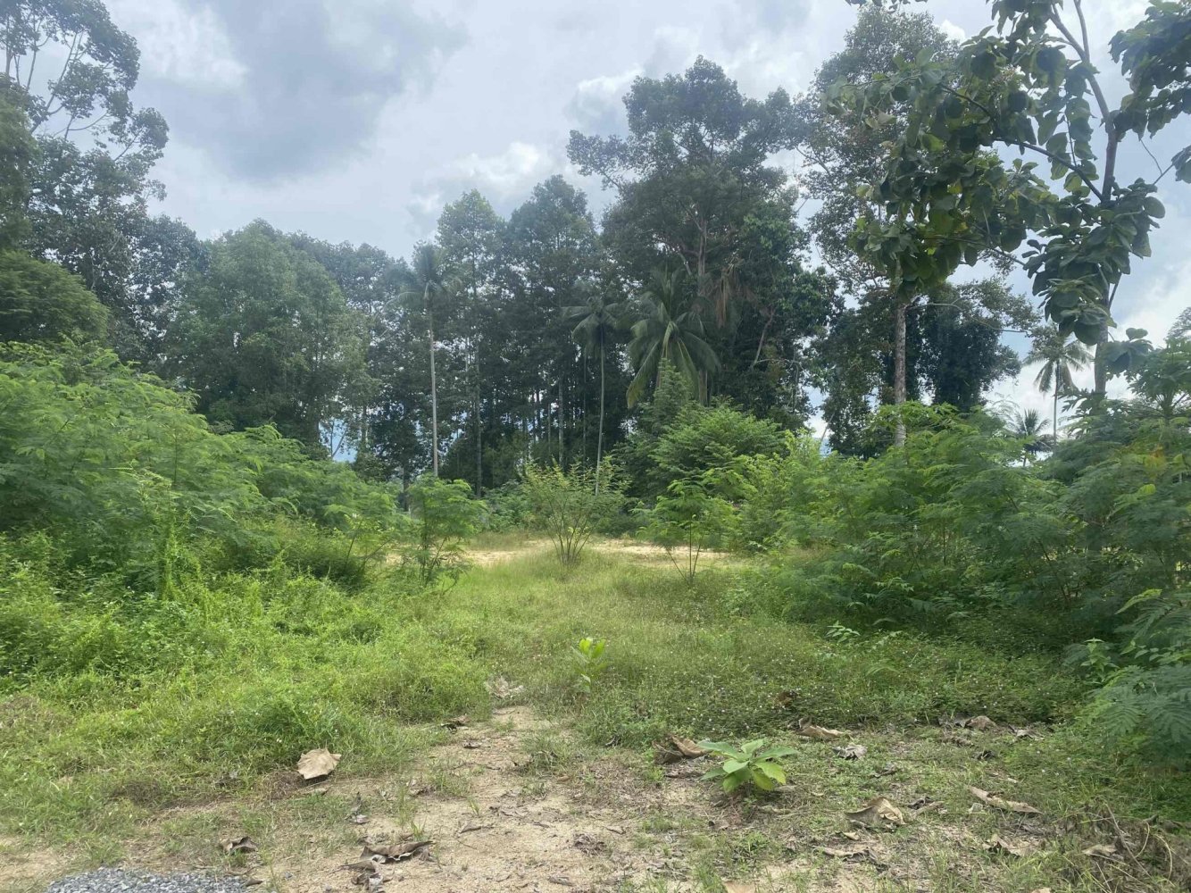  Commercial property in Ko Samui, Thailand No. 25443