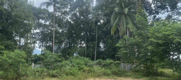  Commercial property in Ko Samui, Thailand No. 25443 2