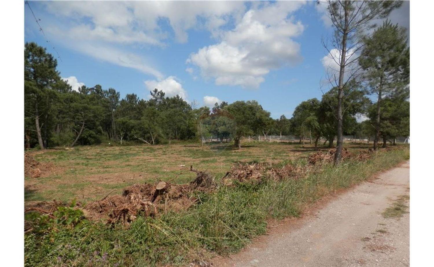 Terreno em Anadia, Portugal 4152 m² N.º 66039