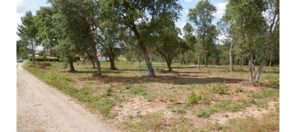 Terreno en Anadia, Portugal 4152 m² No. 66039 6