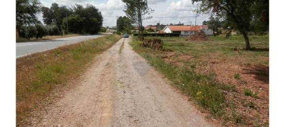 Terreno en Anadia, Portugal 4152 m² No. 66039 8