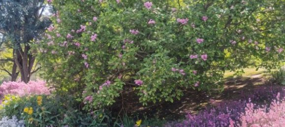 10 rooms House in Wissembourg, France No. 228478 14