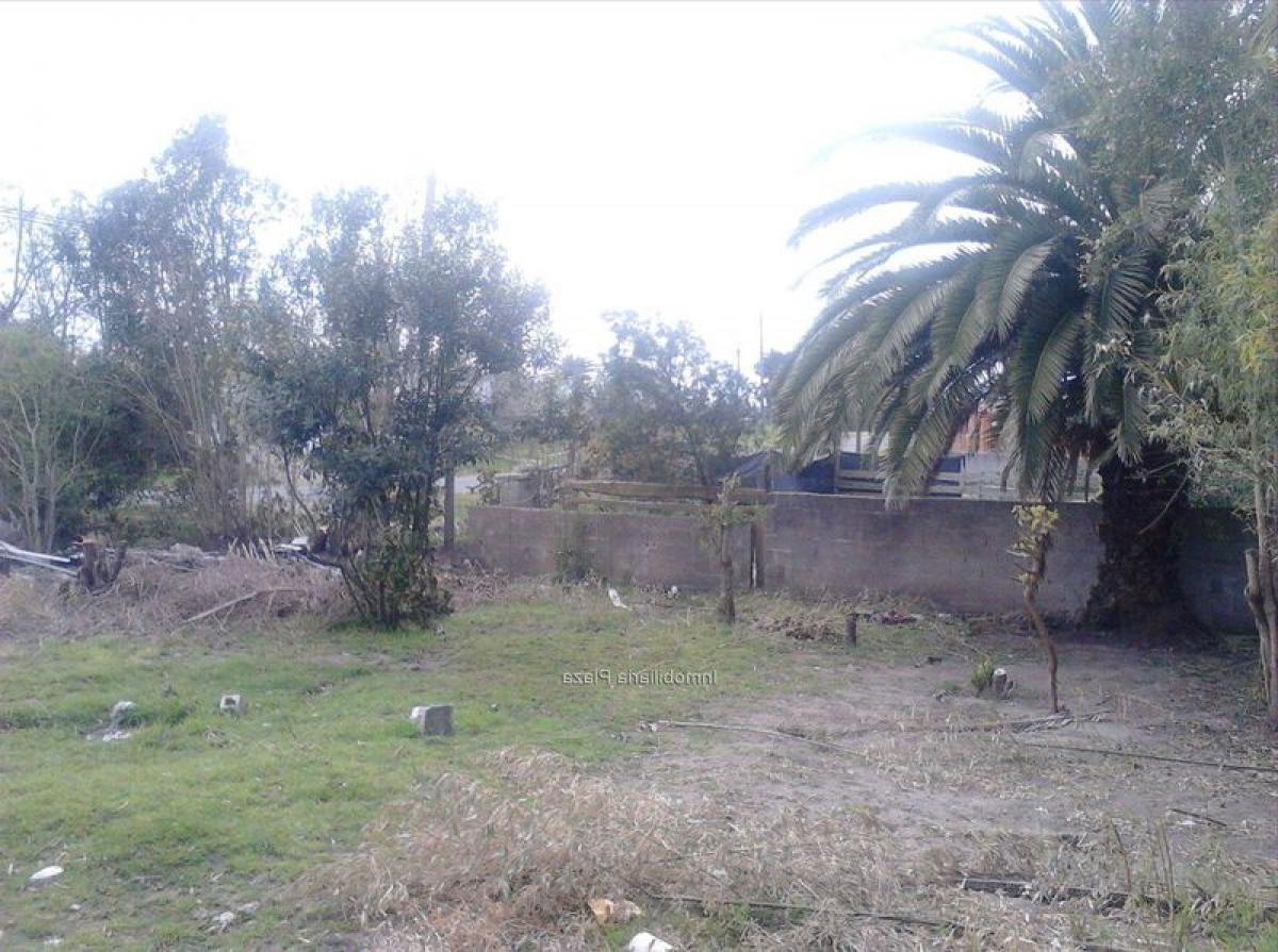  Land in Canelones, Uruguay No. 14578