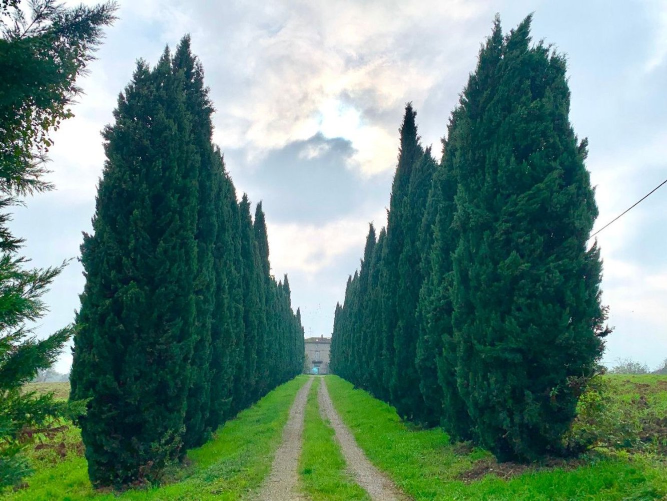 30 bedrooms Villa in Sala Baganza, Italy No. 353772