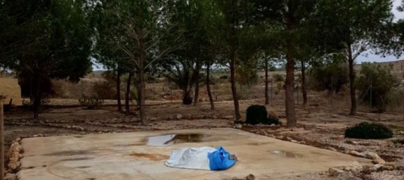 3 chambres Maison à Molina de Segura, Spain No. 165113 8