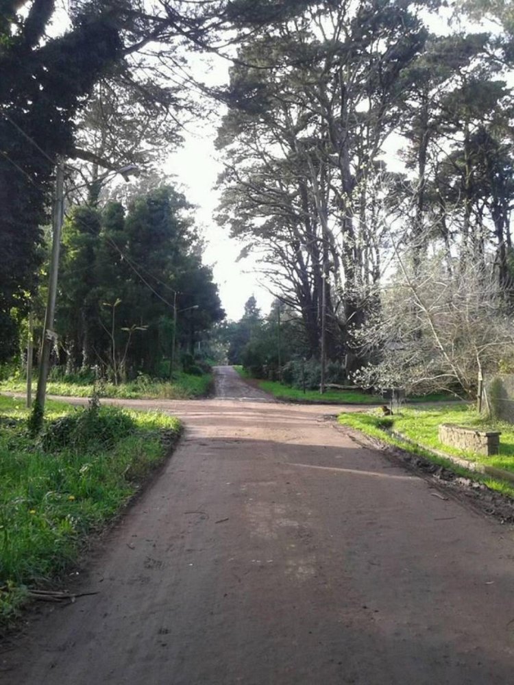  Land in Mar del Plata, Argentina No. 111441