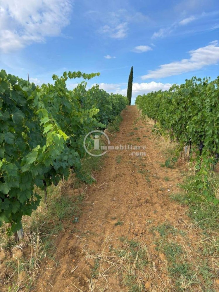 Terrain à Montepulciano, Italy 45000m² No. 284601