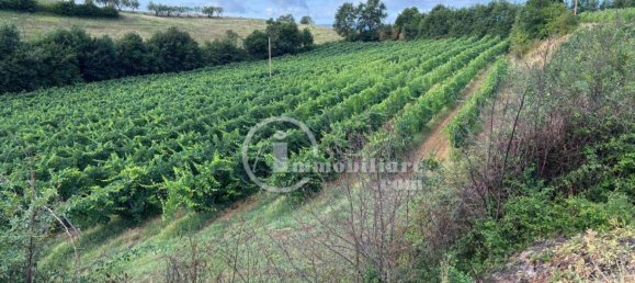 Terrain à Montepulciano, Italy 45000m² No. 284601 17