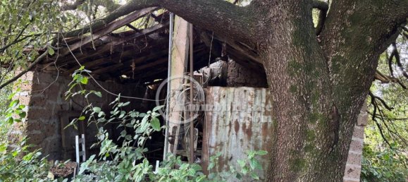 Terrain à Montepulciano, Italy 45000m² No. 284601 13