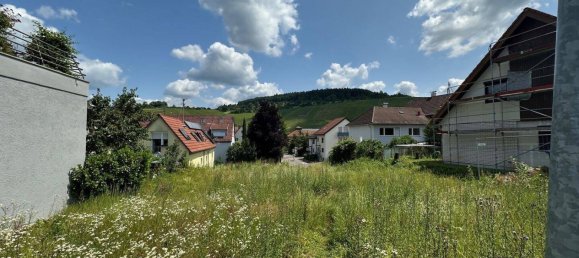 Земельный участок в Ремс-Мур, Германия № 361162 2