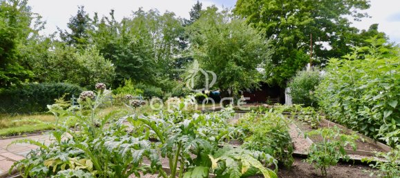 Bungalow de 1 dormitorio en Halle, Germany No. 249607 6
