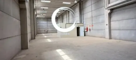 Almacén en Güímar, Spain 2935 m² No. 172536 35