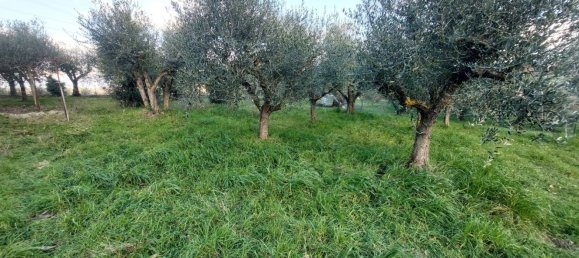 7-salle Maison à Città della Pieve, Italy No. 80209 48