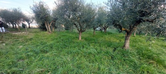 7-salle Maison à Città della Pieve, Italy No. 80209 47