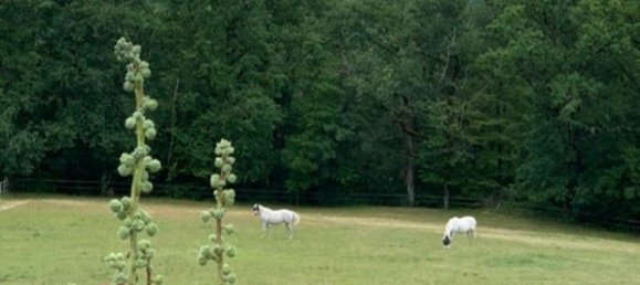 4 bedrooms House in Cahors, France No. 361598 2