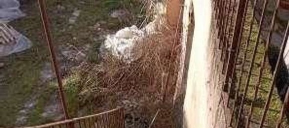 2 غرف نوم شقة في Rosasco, Italy رقم 375762 2