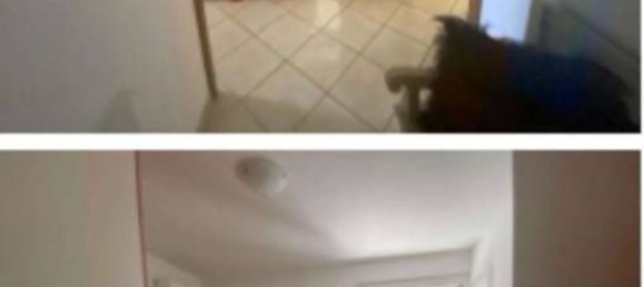 3-Zimmer Wohnung in Ceppaloni, Italy, Nr. 206734 10