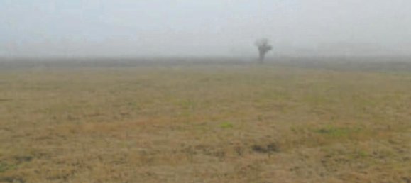 473m² Building in Casaleone, Italy No. 216657 3