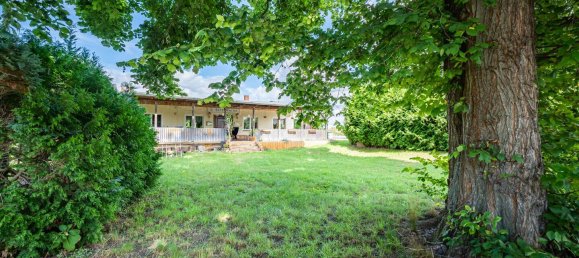 Cafe / Restaurant in Jerichower Land, Germany, Nr. 328282 14